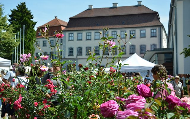 Stadt Laupheim erhält 308.810 Euro Förderung für Klimaschutzprojekt im Rahmen der Nationalen Klimaschutzinitiative